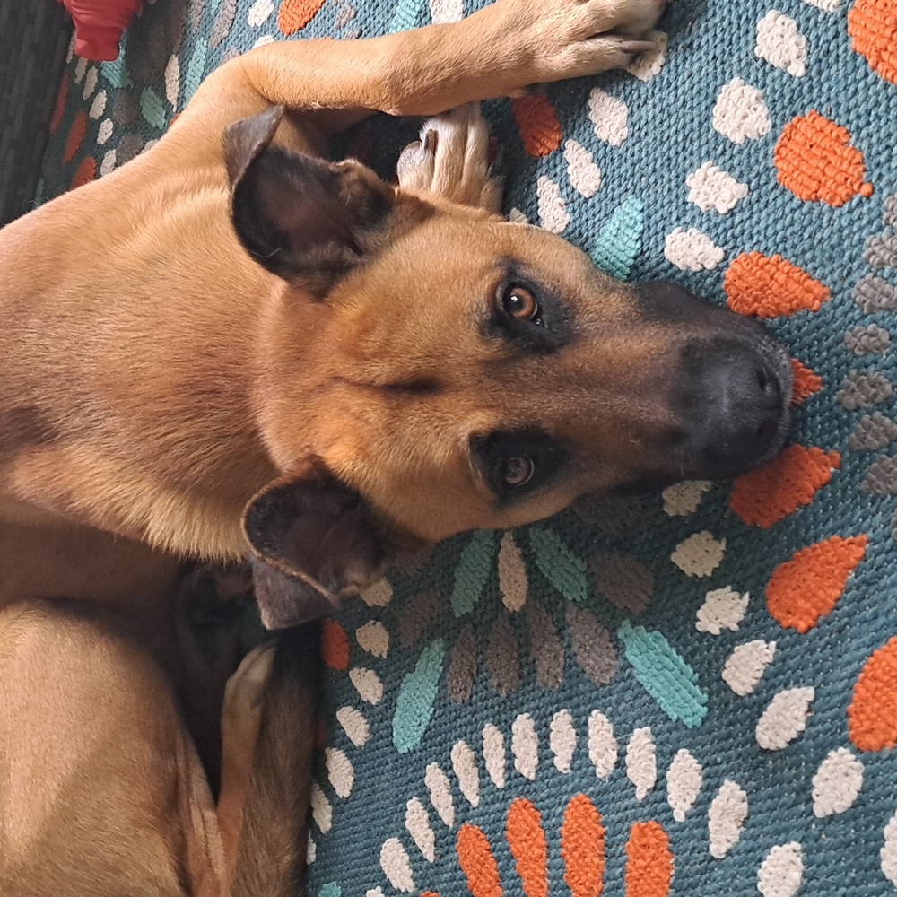 Meet your Posher, T.T